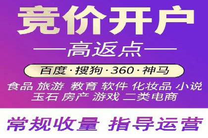网络推广与竞价策略实战案例